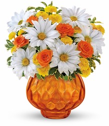 Teleflora's Rise and Sunshine from Victor Mathis Florist in Louisville, KY